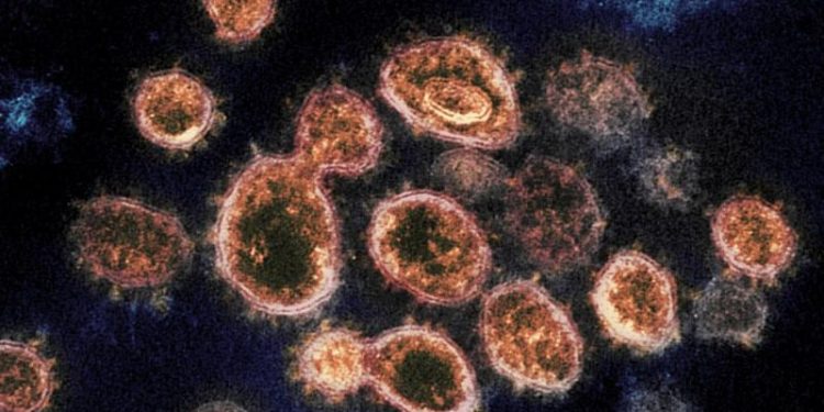 covid-may-remain-active,-transmissible-for-longer-than-recommended-quarantine-period