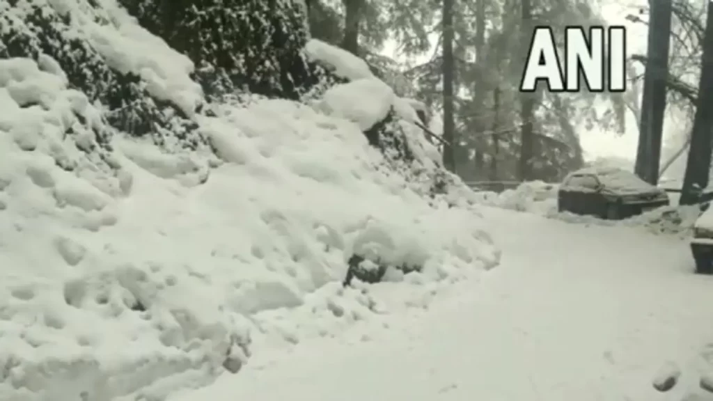 shimla-receives-fresh-spell-of-snowfall.-amazing-pics,-videos-take-over-twitter-|-trending-…