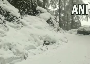 shimla-receives-fresh-spell-of-snowfall.-amazing-pics,-videos-take-over-twitter-|-trending-…