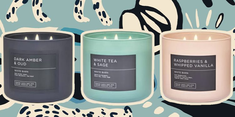 bath-&-body-works'-'gender-neutral'-candle-line-is-an-expensive-looking-departure-–-stylecaster