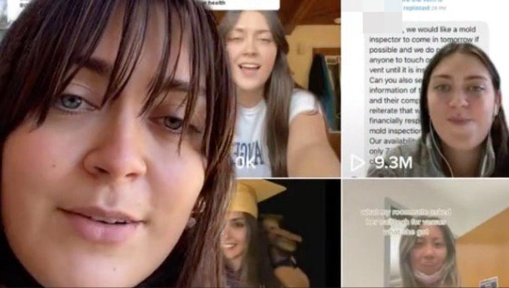 who-is-mold-girl-on-tiktok-as-she-battle-against-“molds”-in-her-apartment-–-the-teal-mango