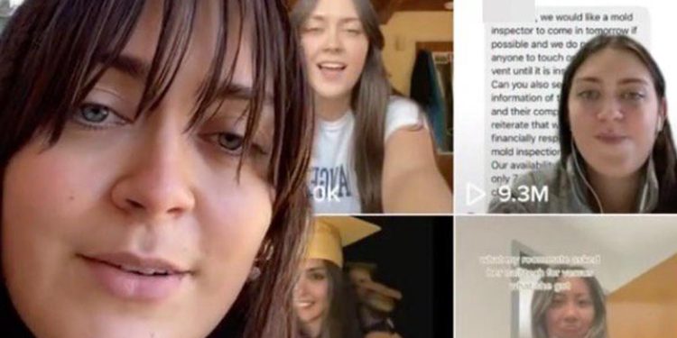 who-is-mold-girl-on-tiktok-as-she-battle-against-“molds”-in-her-apartment-–-the-teal-mango