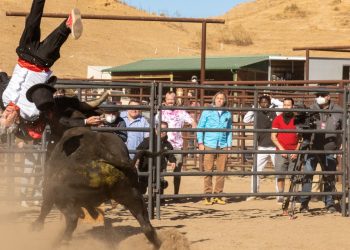 'jackass'-and-the-rise-and-fall-of-prank-content-online-–-nbc-news