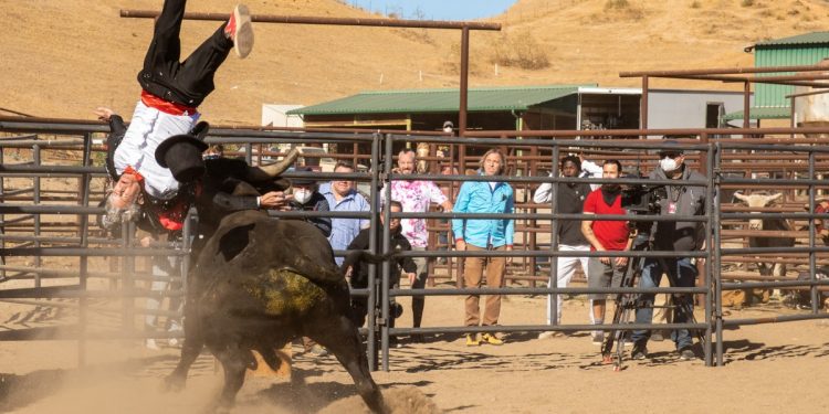 'jackass'-and-the-rise-and-fall-of-prank-content-online-–-nbc-news