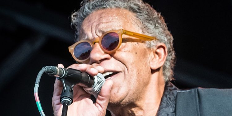 donny-gerrard,-“wildflower”-singer,-dies-at-75-–-the-hollywood-reporter
