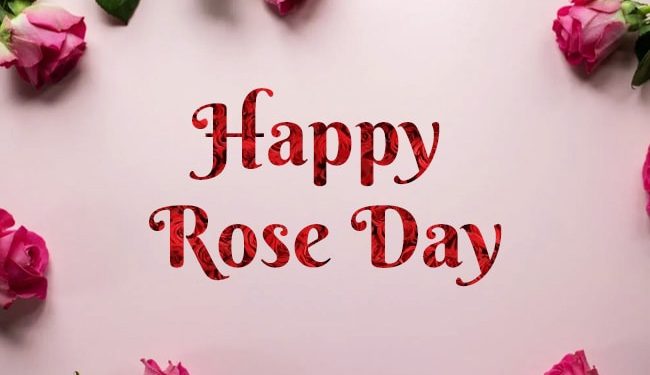 happy-rose-day-2022:-wishes,-greetings,-images,-pics,-facebook-and-whatsapp-status