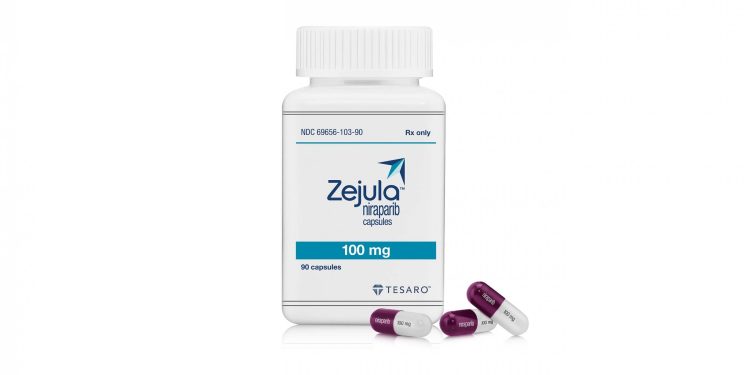 asco-gu:-j&j-plays-up-precision-therapy-approach-for-zejula's-prostate-cancer-bid-after-…