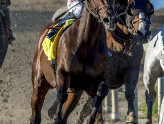 olympiad-sets-track-record-in-winning-mineshaft-–-daily-racing-form