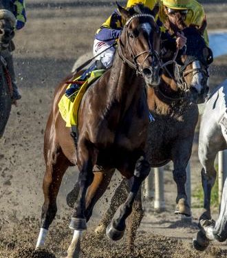 olympiad-sets-track-record-in-winning-mineshaft-–-daily-racing-form