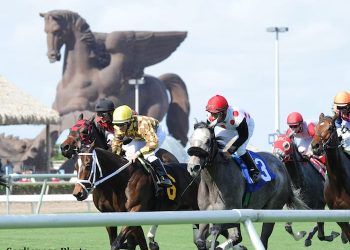 gulfstream-park:-wednesday's-rainbow-6-gross-jackpot-pool-guaranteed-at-$1.25-million-…