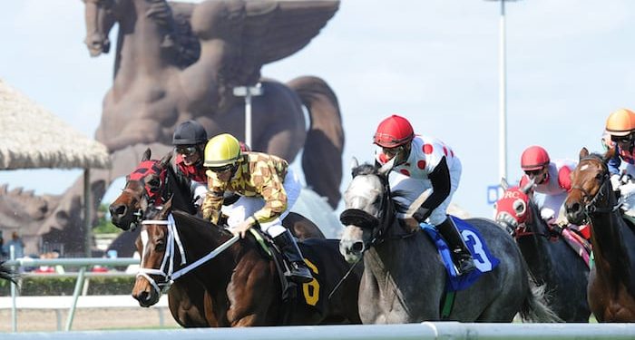 gulfstream-park:-wednesday's-rainbow-6-gross-jackpot-pool-guaranteed-at-$1.25-million-…