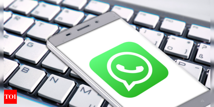 whatsapp-working-on-new-privacy-shortcut-for-android-users-–-times-of-india