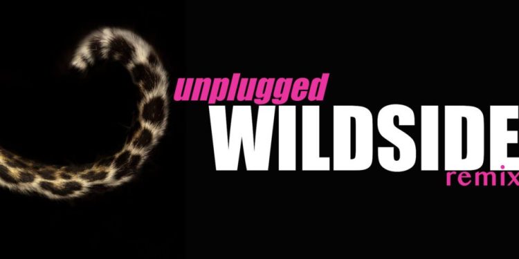 the-wildside-festival-is-taking-over-the-centaur-theatre-with-two-shows!-–-mountain-lake-pbs