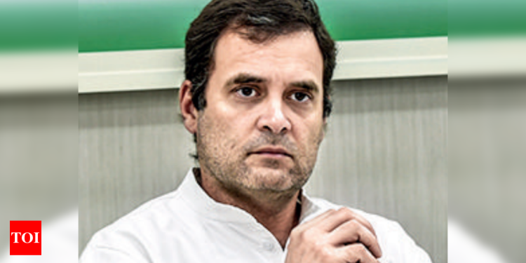 rahul-gandhi's-twitter-account-slowly-getting-followers-again-|-india-news