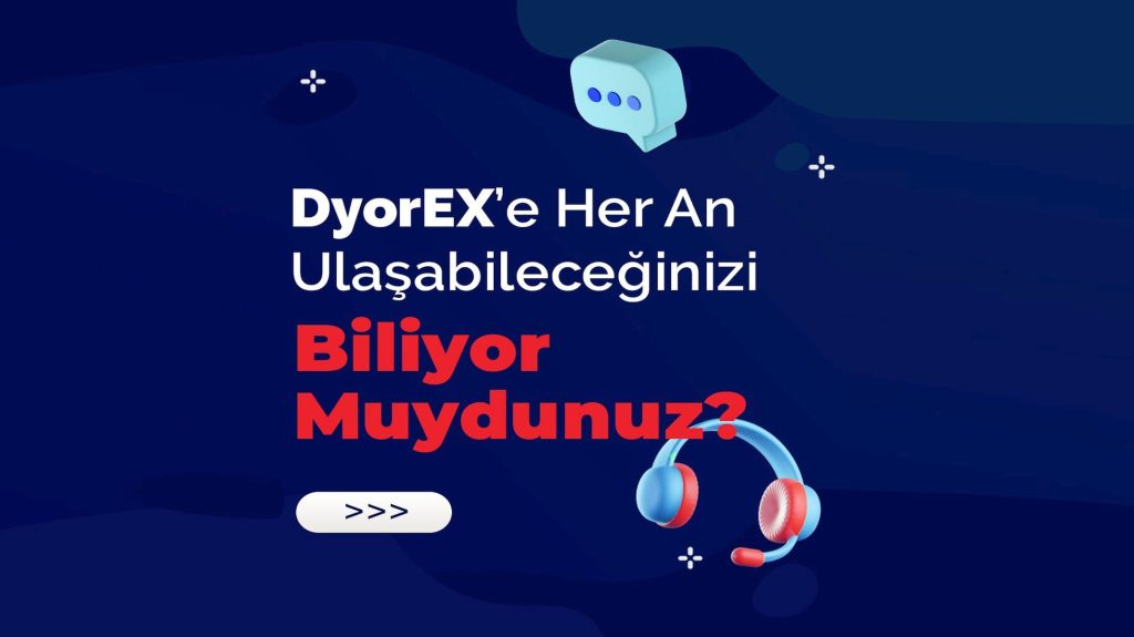 dyorex-is-the-only-exchange-you-can-talk-to-on-whatsapp-7/24-–-raillynews