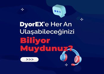 dyorex-is-the-only-exchange-you-can-talk-to-on-whatsapp-7/24-–-raillynews