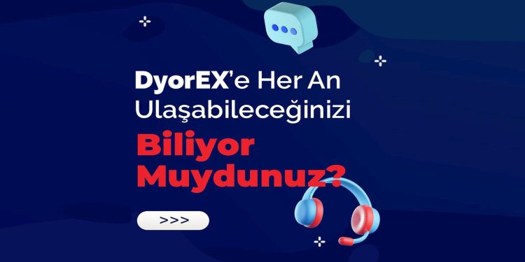 dyorex-is-the-only-exchange-you-can-talk-to-on-whatsapp-7/24-–-raillynews