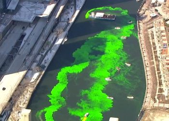 chicago-celebrates-river-dyeing,-st.-patrick's-day-parade