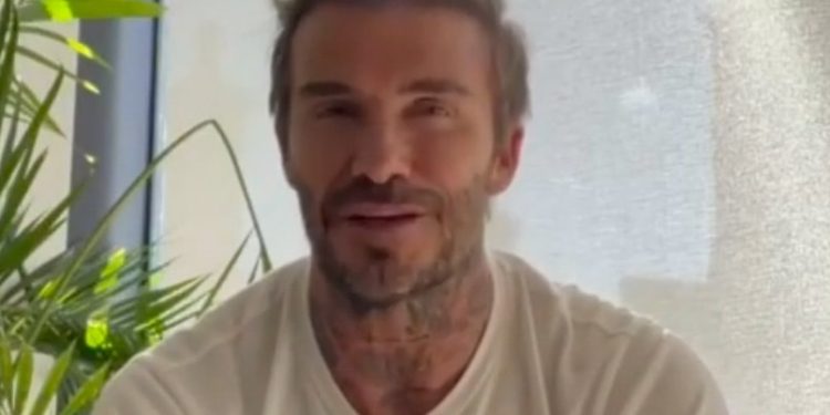 david-beckham-hands-over-instagram-account-to-ukrainian-doctor-|-football-news-–-ndtv-sports