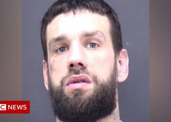dorset-police-hunt-prisoner-on-the-run-in-underwear-and-socks-–-bbc-news