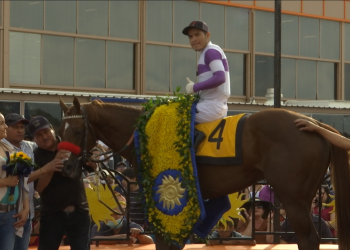 slow-down-andy-claims-victory-at-sunland-derby-|-ktsm-9-news