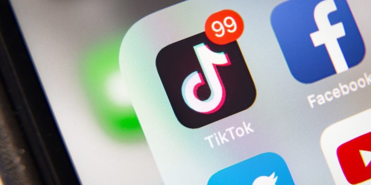 facebook-hired-company-to-spread-negative-stories-about-tiktok,-report-says-|-the-independent