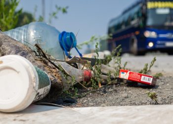 south-carolina-wildlife-agents-use-dead-eagle's-photo-to-ask-to-stop-litter-–-wltx.com