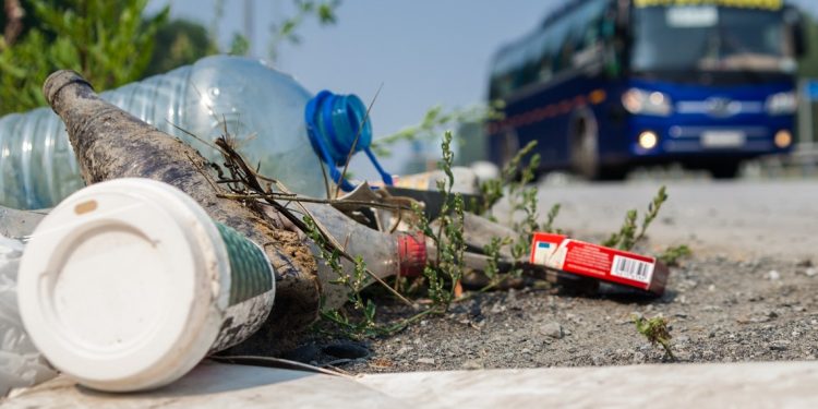 south-carolina-wildlife-agents-use-dead-eagle's-photo-to-ask-to-stop-litter-–-wltx.com