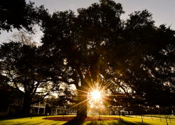 monday-updates-from-the-masters-tournament-|-wjbf