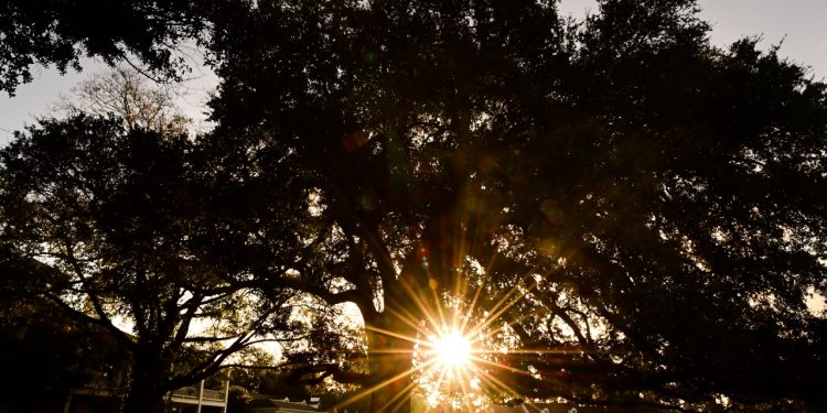 monday-updates-from-the-masters-tournament-|-wjbf