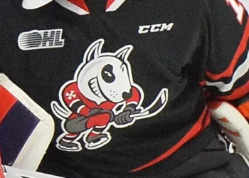 ohl-suspends-niagara-icedogs-coach-and-gm-after-investigation-into-whatsapp-conversation-–-cbc