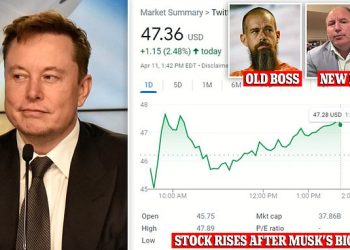 elon-musk's-possible-twitter-plans-explained:-from-possible-hostile-takeover-to-a-fun-distraction