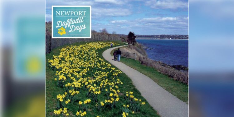 blooms-abound-–-newport-this-week