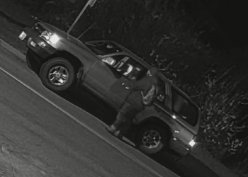 carson-city-sheriff's-office-seeks-information-in-vehicle-burglary-–-nevada-appeal