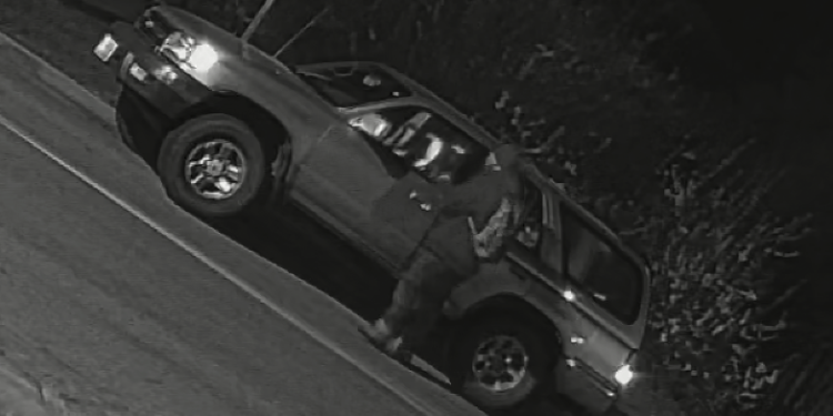 carson-city-sheriff's-office-seeks-information-in-vehicle-burglary-–-nevada-appeal