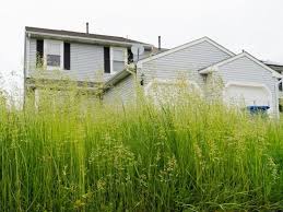 “no-mow-may”-continues-to-gain-steam-–-kfiz-news-talk-1450-am