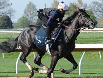 zandon,-kathleen-o.,-breeze-for-kentucky-derby,-oaks-–-daily-racing-form