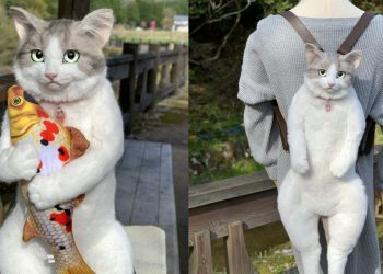 japan-twitter-is-going-nuts-over-a-$1,000,-life-sized-cat-backpack-–-insider