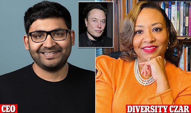 furious-twitter-staffers-slam-elon-musk-as-transphobic-at-all-hands-|-daily-mail-online