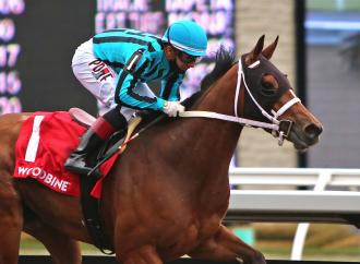 nobals-makes-woodstock-third-consecutive-triumph-–-daily-racing-form