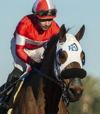 graded-stakes-winner-acclimate-retires-to-become-event-horse-–-daily-racing-form