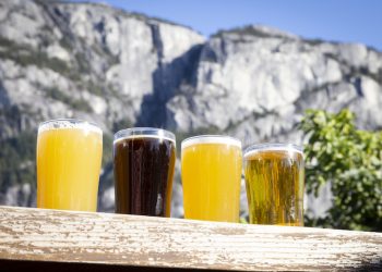 video:-best-of-beer-&-trails-in-squamish-in-'ale-trails'-–-pinkbike