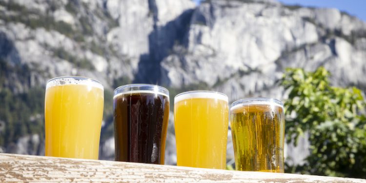 video:-best-of-beer-&-trails-in-squamish-in-'ale-trails'-–-pinkbike