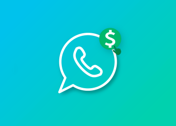 paid-whatsapp-premium-will-arrive-soon,-but-not-as-expected-–-sunday-vision