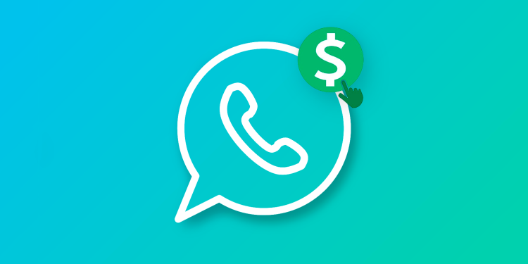 paid-whatsapp-premium-will-arrive-soon,-but-not-as-expected-–-sunday-vision