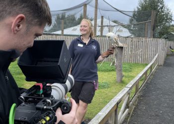 shropshire-video-agency-launches-virtual-experience-with-edinburgh-zoo-and-vimeo