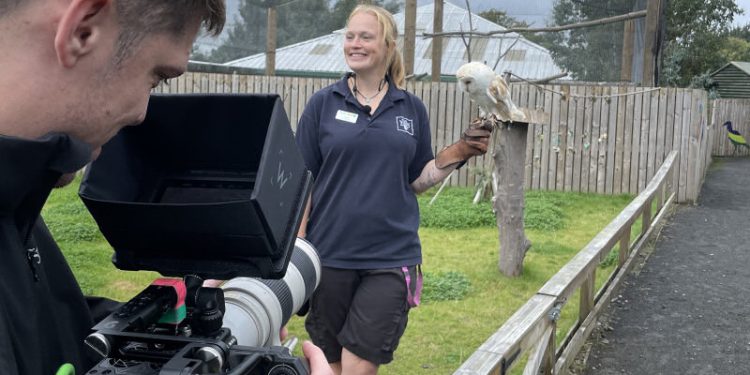 shropshire-video-agency-launches-virtual-experience-with-edinburgh-zoo-and-vimeo