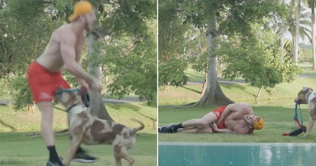 logan-paul-bitten-by-dog-in-his-“reproducers”-during-youtube-workout-–-mirror-online