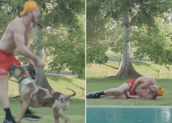 logan-paul-bitten-by-dog-in-his-“reproducers”-during-youtube-workout-–-mirror-online