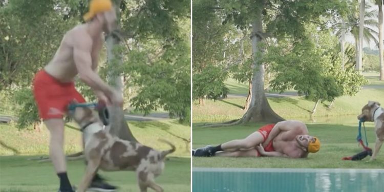 logan-paul-bitten-by-dog-in-his-“reproducers”-during-youtube-workout-–-mirror-online